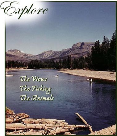 Explore yellowstone